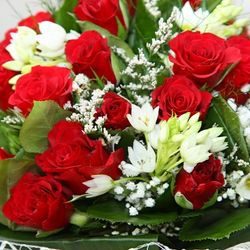 vackra blommor rött och vitt